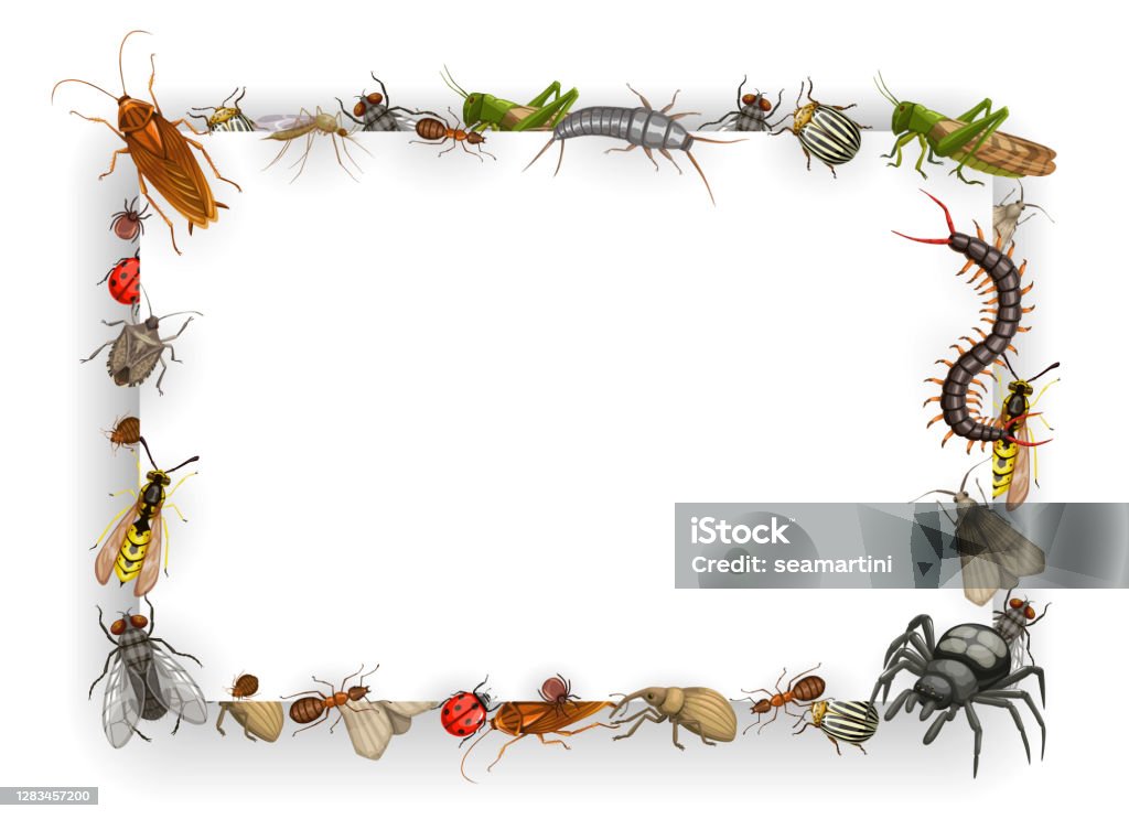 Ilustración de Marco Con Insectos De Dibujos Animados Vector Parásitos Borde y más Vectores Libres de Derechos de Cucaracha - iStock Ilustración de Marco Con Insectos De Dibujos Animados Vector Parásitos Borde y más Vectores Libres de Derechos de Cucaracha - iStock