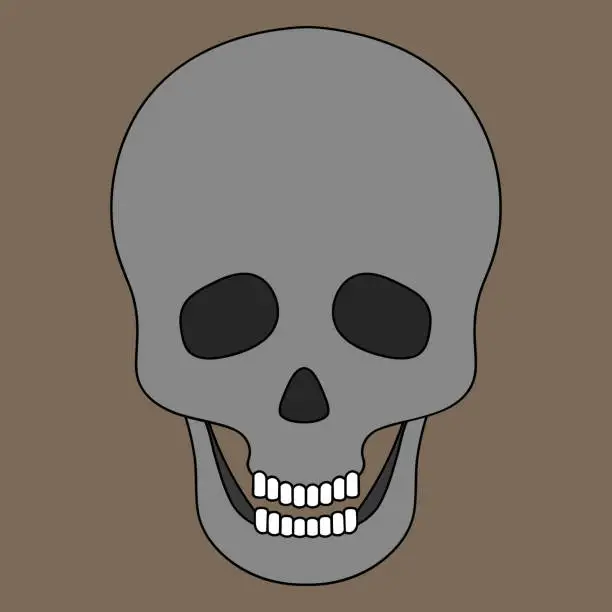 Vector illustration of Human skull. Jaw with straight teeth. Vector illustration. Halloween symbol. Isolated brown background. Bone frame of the head. An integral part of the skeleton. Cartoon style. Hollows instead of eyes and nose. Decoration for All Saints Day.