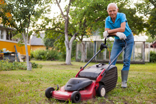 istock Cheerful mature man with lawnmower on a farm 1283462415