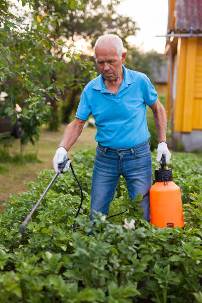 istock Farmer sprays harvest of vegetables with insecticides 1283462419