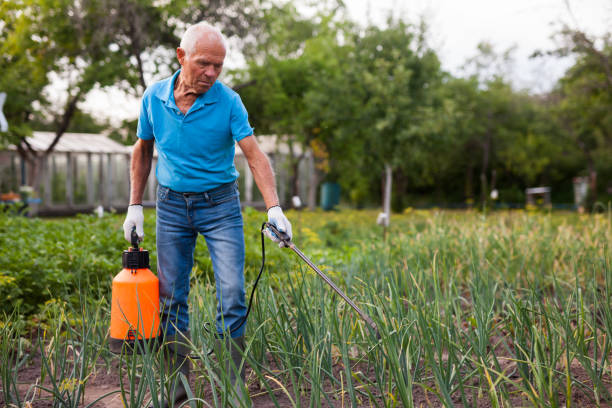 istock Man works with garden spray in the yard 1283462425
