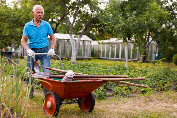 istock Elderly gray-haired man working in the garden 1283462430