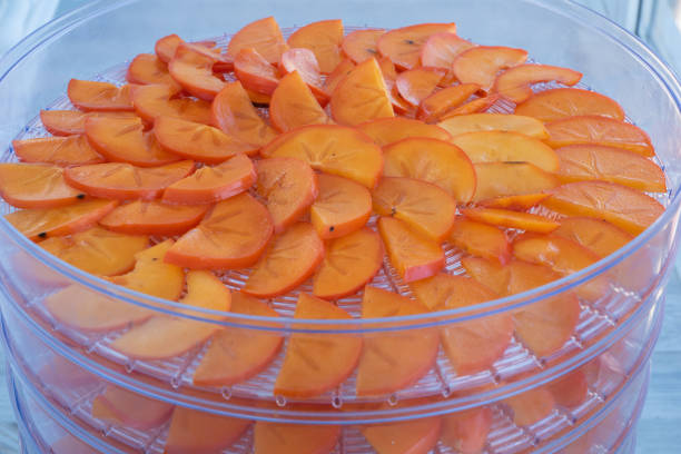 istock bright orange persimmon slices layered  in a electric dehydrator, making fresh natural heathy food, concept of healty eating, 1283470138