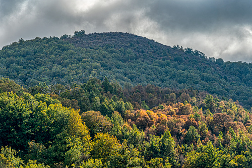 a mountain in Corsica in autumn with its trees with colorful foliage