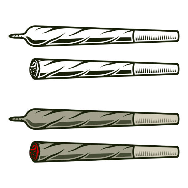 Joints or cigarettes with marijuana rolled and smolder set of vector objects or design elements monochrome and colored isolated on white background Joints or cigarettes with marijuana rolled and smolder set of vector objects or design elements monochrome and colored isolated on white background blunts stock illustrations