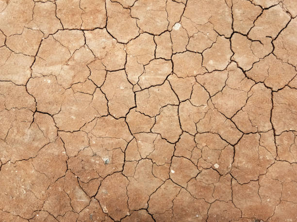 istock The ground has cracks in the top view for the background or graphic design 1283477716
