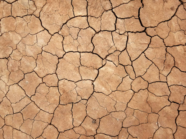 istock The ground has cracks in the top view for the background 1283477735