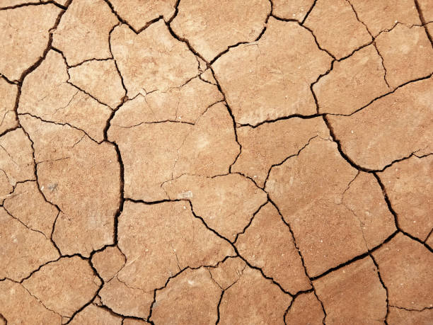 istock The ground has cracks in the top view for the background or graphic design 1283477844