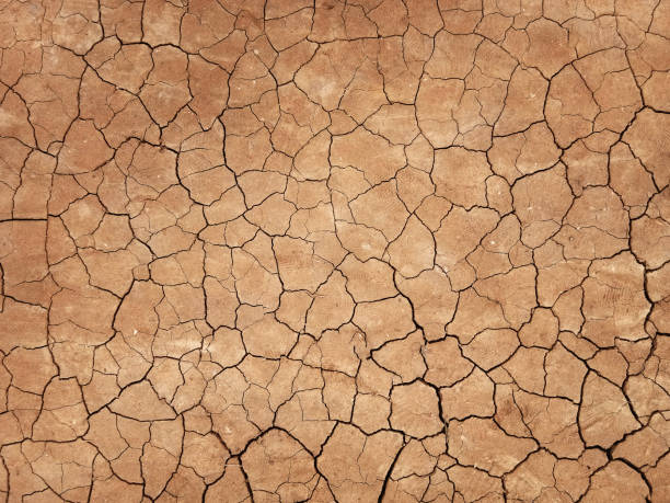 istock The ground has cracks in the top view for the background 1283477997