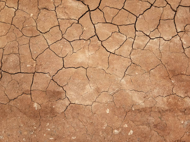 istock The ground has cracks in the top view for the background 1283478408