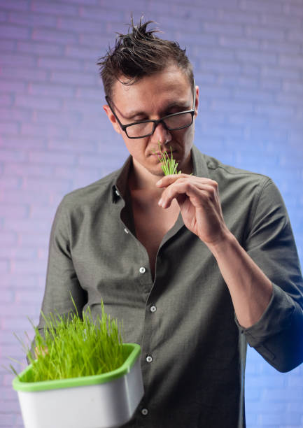 istock a man holds a seed germinator with growing green wheat 1283482922