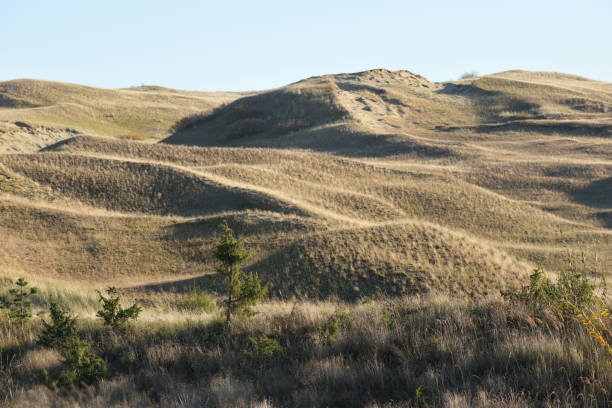 istock Sandy Grey Dunes at the Curonian Spit in Lithuania 1283486020