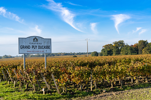 Pauillac, Gironde / Spain - 18 October 2020: beautiful fall colors in the vineyards of the Chateau Grand Puy Ducasse in Gironde near Bordeaux