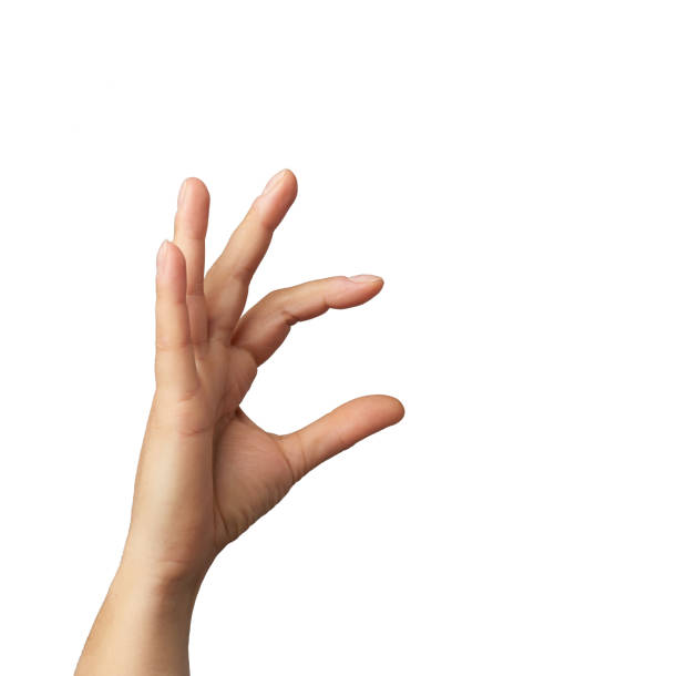 istock female hand raised up and conditionally holding an object 1283491408