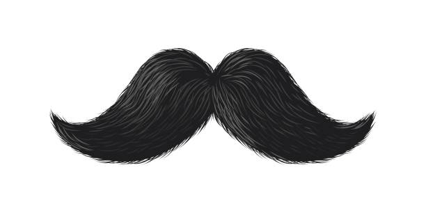 Black moustache. Cute curly simple mustache, hipster barbershop fashion logo, humor party photobooth props, groom silhouette symbol, human face hair male whisker vector illustration Black moustache. Cute curly simple mustache, hipster barbershop fashion logo, humor party photobooth props, groom silhouette symbol, human face hair male whisker vector isolated on white illustration long beard stock illustrations
