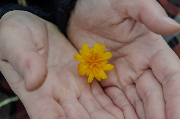 istock Concept of harmony, tenderness, romance. 1283495004