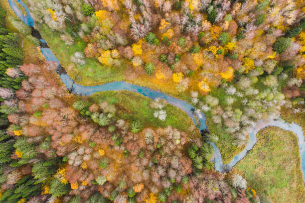 istock The Krasnaya river surrounded by Autumn forest, view from above. 1283495667