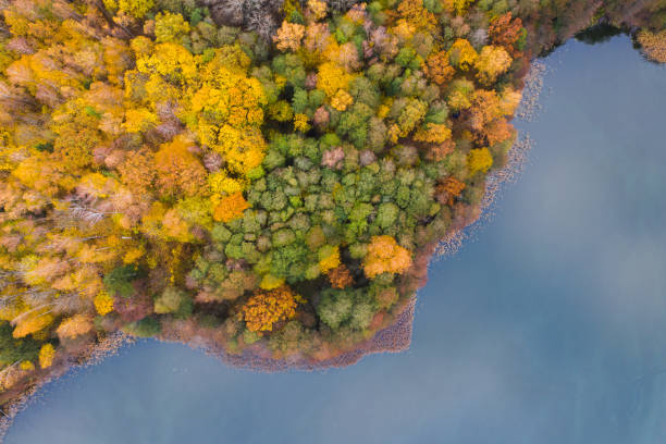 istock Autumn forest by lake Marinovo, view from above. 1283495996