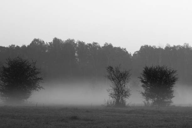 istock Foggy landscape in black and white, Poland 1283496057