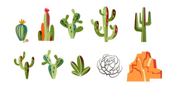 Wild west objects in nature set. Desert icons of different green cactus, bush and orange rocks. Western american wilderness vector illustration. Cacti with thiorns and flowers on white background Wild west objects in nature set. Desert icons of different green cactus, bush and orange rocks. Western american wilderness vector illustration. Cacti with thiorns and flowers on white background. cactus stock illustrations