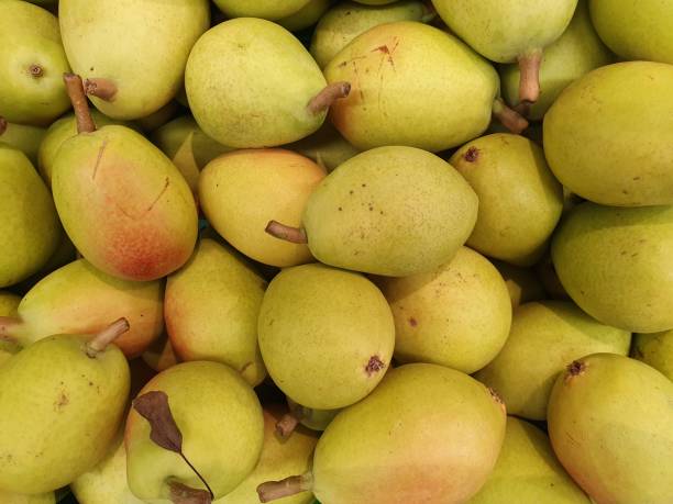 istock many yellow pears.  Fresh pears.  Pear background 1283497681