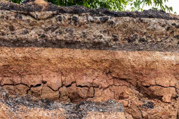 gleba pod drogą, która została erozji na wsi. - dirt eroded nature abstract nature zdjęcia i obrazy z banku zdjęć