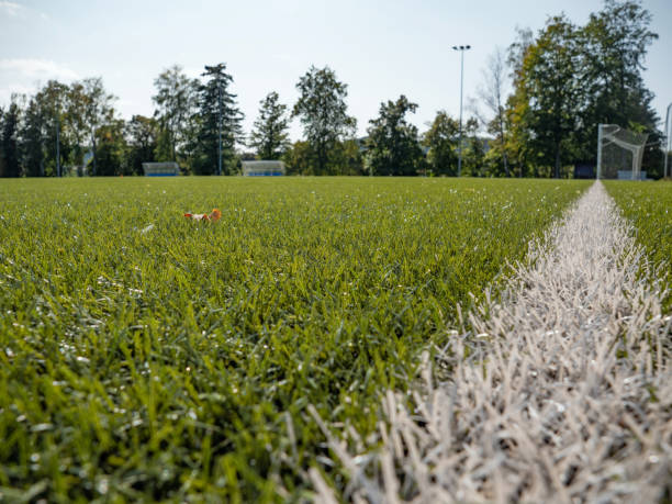 istock White gate line.  Soccer training court line 1283500431