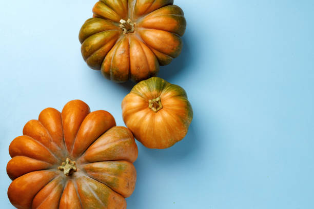 istock Small pumpkins on blue pastel background top view 1283503142