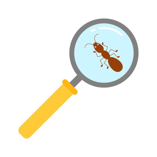 istock a magnifying glass zoom in ant-vector cartoon style 1283503698