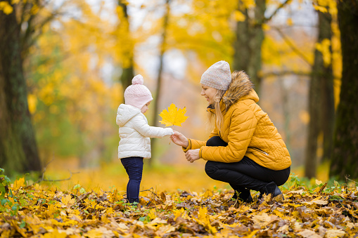 Young adult mother giving big bright yellow maple leaf to little daughter at park. Golden autumn. Spending time together in beautiful day. Side view.