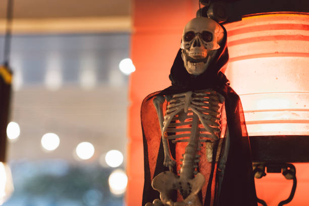 istock The Skeleton is hanging on a lantern in a cafe. Terrible creatures. 1283504988