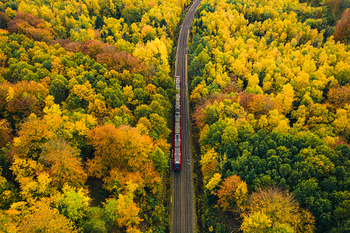 Electric city train running on rails above the car traffic from central Copenhagen to the outskirts outside of the city, where forest and nature is found. Aerial view shot with drone in autumn. Public transportation by train and bus are together with bicycling the fastest way to to get to work in this capital.