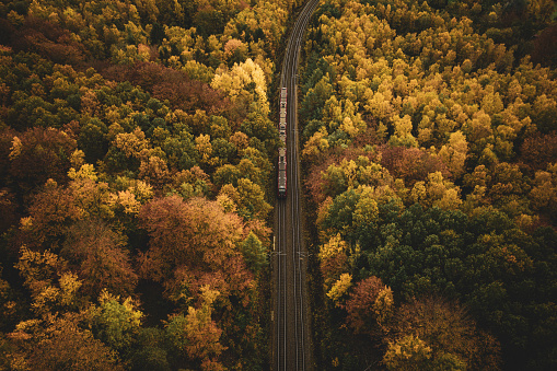 Electric city train running on rails above the car traffic from central Copenhagen to the outskirts outside of the city, where forest and nature is found. Aerial view shot with drone in autumn. Public transportation by train and bus are together with bicycling the fastest way to to get to work in this capital.