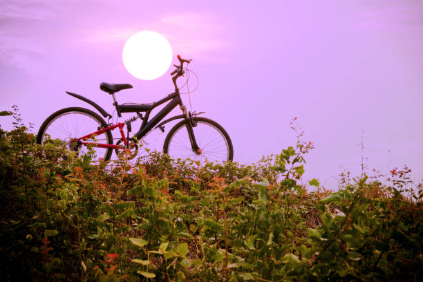 istock mountain bike with a colorful sky 1283505936