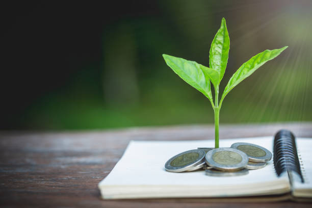 istock Green tree growing on money coins, ,saving, growth, sustainable development, economic concept 1283506080
