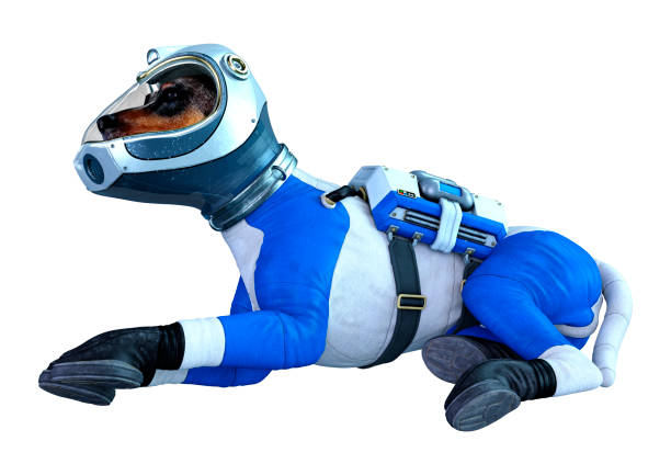 istock 3D illustration astronaut dog on white 1283506671