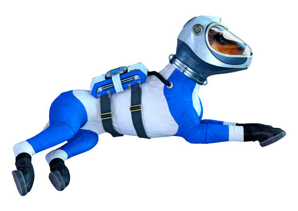 istock 3D illustration astronaut dog on white 1283506681