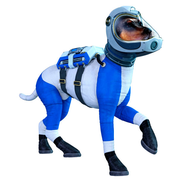 istock 3D illustration astronaut dog on white 1283506688