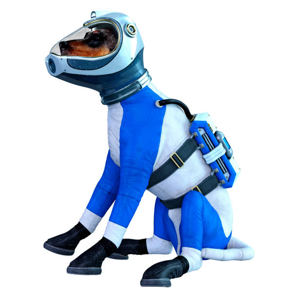 istock 3D illustration astronaut dog on white 1283506703