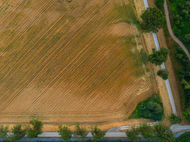 istock Aerial top down look to streets and paths between forest and fields 1283507813