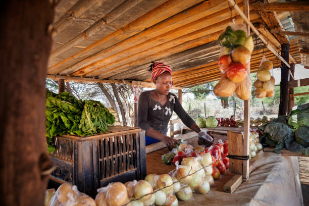 african street vendor african street vendor, selling onions, cabbage, tomatoes. botswana stock pictures, royalty-free photos & images