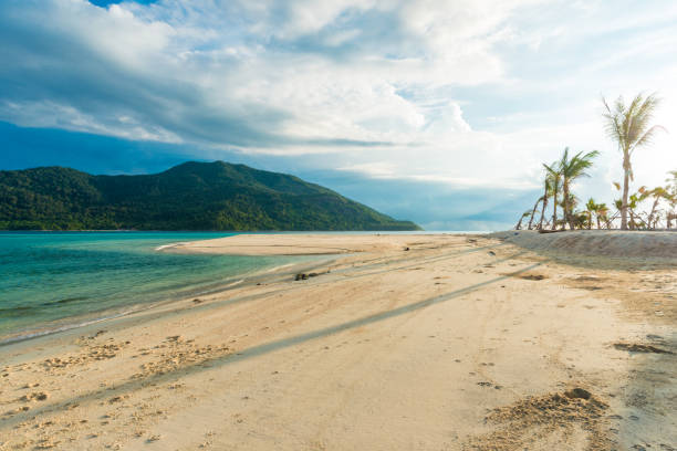 praia e mar tropical de andaman com céu azul - phuket province - fotografias e filmes do acervo