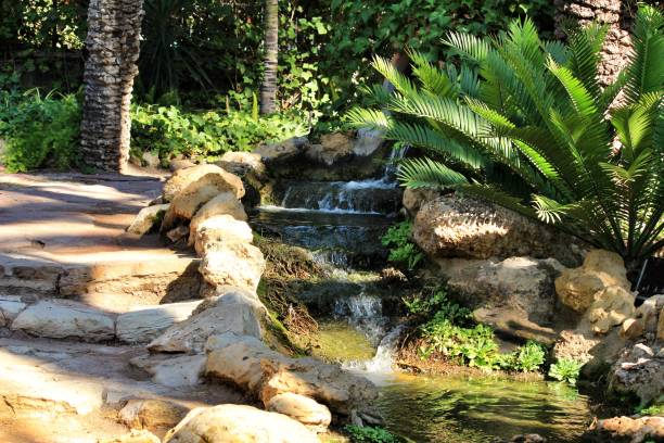 istock Green vegetation in a botanical garden in Elche 1283509824