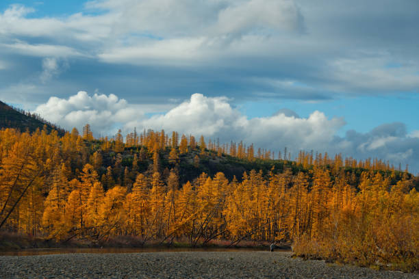 istock The Cold river to Magadan 1283509934