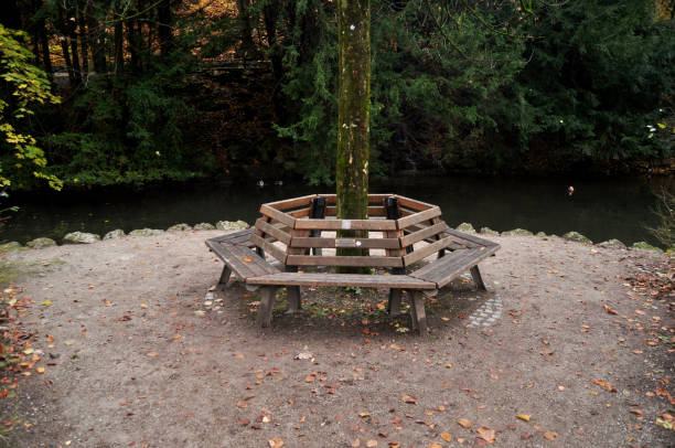 istock View landscape tree plant at  garden public park in fall 1283512228