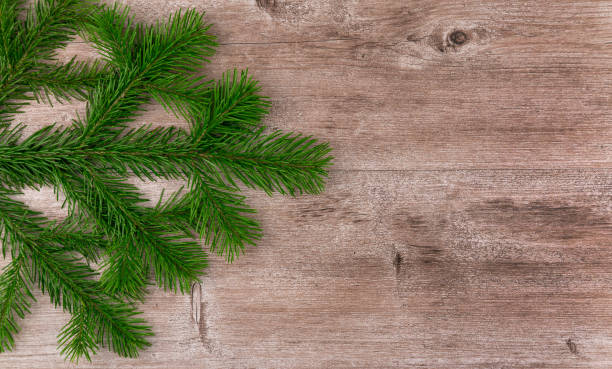 istock green Christmas tree on a wooden vintage background. selective focus. xmas background. copy space 1283512876