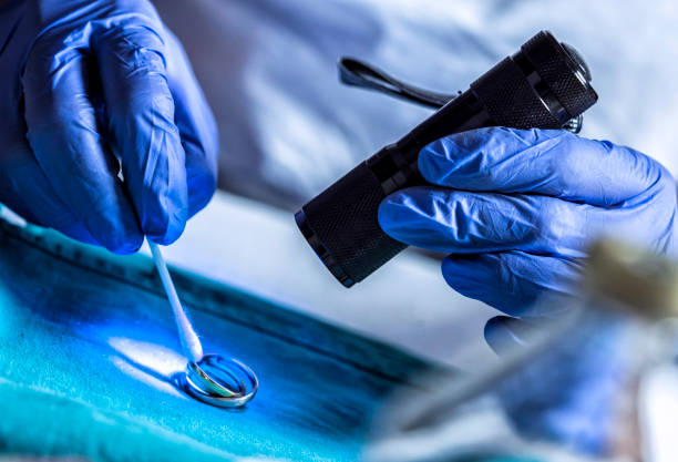 istock Crime technician examines rings from a crime scene with ultraviolet light in the laboratory, conceptual image 1283513831