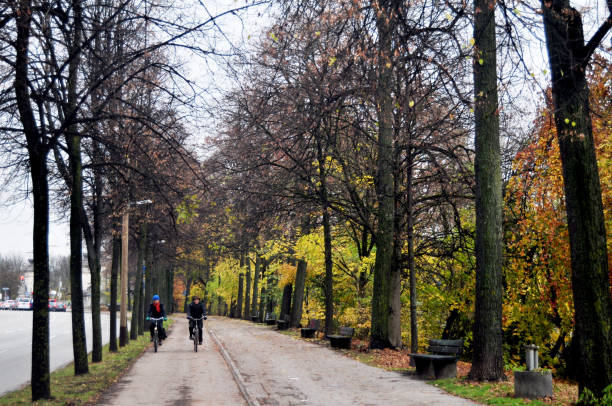 ドイツの老人とシニア女性愛好家 秋の秋の季節に道路のそばの歩道で自転車に乗る人々 - senior adult retirement mature adult couple ストックフォトと画像
