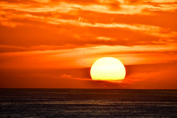 sunset over the sea, beautiful photo digital picture