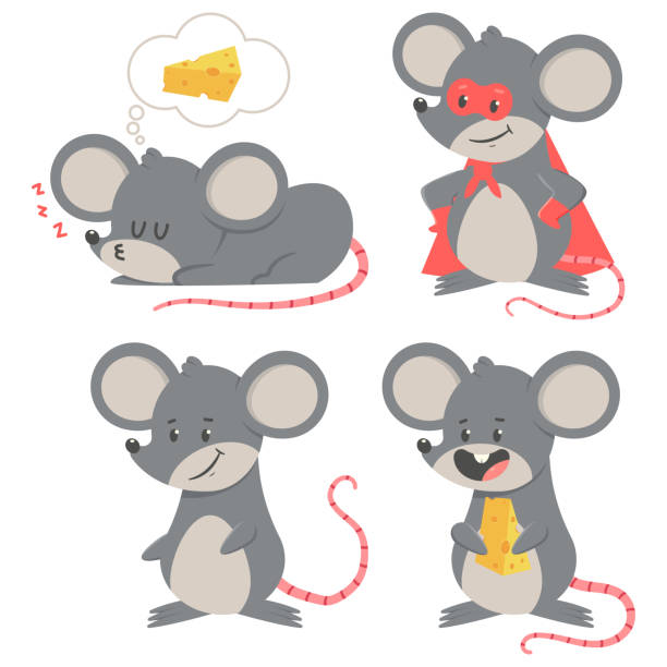 Super Rato 40+ Superhero Rat Stock Photos, Pictures & Royalty-Free Images - iStock